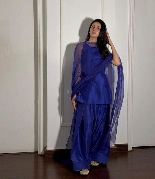 Mehrunnisa farshi shalwar set💙